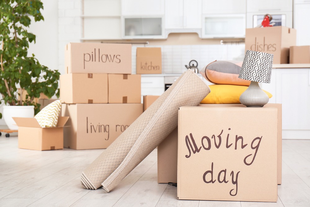 First Fly Packers & Movers